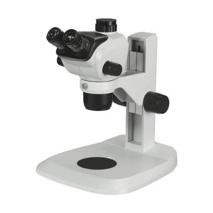 Stereo Microscope